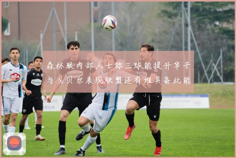 森林狼内部人士称三球能提升华子与戈贝尔表现联盟还有谁具备此能力