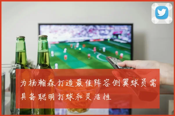 为杨瀚森打造最佳阵容侧翼球员需具备聪明打球和灵活性